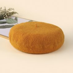 Минималистский берет Shein