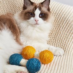 1шт когтеточка для кошек из сизаля случайного цвета Shein