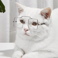 1 пара квадратные очки для домашних животных Shein