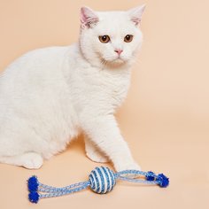 1шт игрушка для кошек случайного цвета Shein