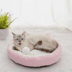 Контрастная кровать для кошек Shein