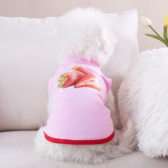 Фрукты и овощи Майки для домашних животных Shein