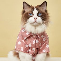 Мультяшный принт Рубашки для домашних животных Shein