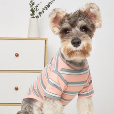 Полосатый Футболки для домашних животных Shein