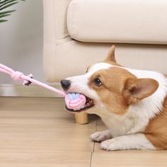 1шт плетеная жевательная игрушка для домашних животных Shein