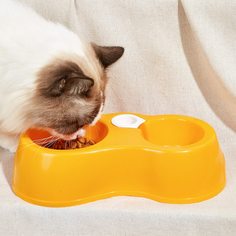 Двойная миска для домашних животных без бутылки Shein