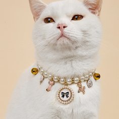 Ожерелье для домашних животных с жемчугом Shein