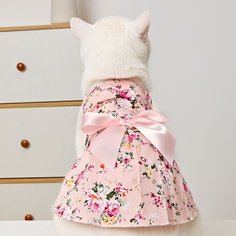 Со цветочками Платья для домашних животных Shein