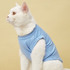 Одноцветный Майки для домашних животных Shein