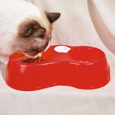 Одноцветный Миски для домашних животных Shein