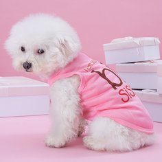 Лозунг Майки для домашних животных Shein