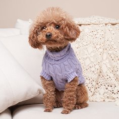 Одноцветный Свитера для домашних животных Shein