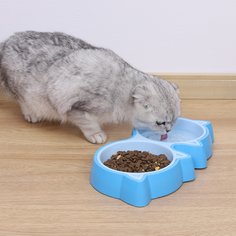 Мультяшный принт Миски для домашних животных Shein
