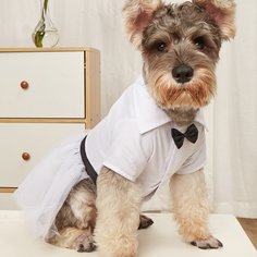 Одноцветный Платья для домашних животных Shein