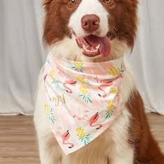 Бандана Фламинго Шарфы для домашних животных Shein