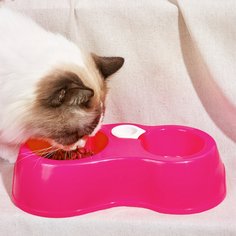Одноцветный Миски для домашних животных Shein