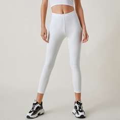 Одноцветный Спортивный Леггинсы Shein