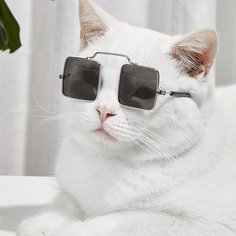 1 пара очки с квадратными линзами для домашних животных Shein