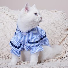 Полосатый Рубашки для домашних животных Shein
