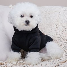 Лозунг Свитшоты и худи для домашних животных Shein