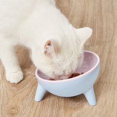 Одноцветный Миски для домашних животных Shein