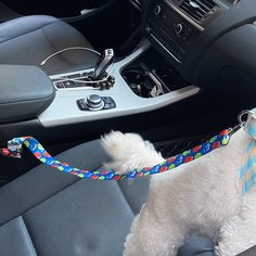 Ремень безопасности автомобиля для собак с мультипликационным принтом Shein