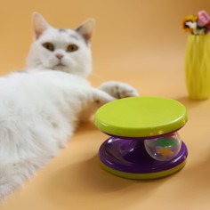 Звуковая игрушка для домашних животных случайного цвета 1шт Shein