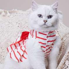 Полосатый Платья для домашних животных Shein