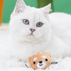 1шт звуковая игрушка для домашних животных в форме мыши Shein