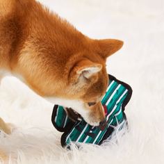 Звуковая игрушка для домашних животных в форме кактуса Shein