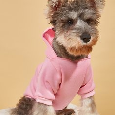 Толстовка для домашних животных Shein