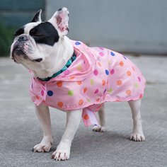 Дождевик для домашних животных в горошек Shein