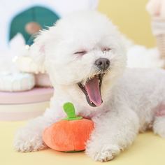 Звуковая игрушка для домашних животных в форме тыквы Shein