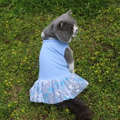 Со цветочками Платья для домашних животных Shein
