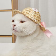 Головной убор для домашних животных Shein