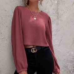 Однотонная вязаная короткая футболка Shein