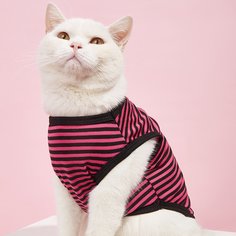 Полосатый Майки для домашних животных Shein
