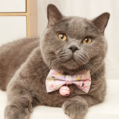 Со цветочками Галстуки и бабочки для домашних животных Shein