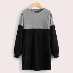 Шнуровка Контрастный цвет Повседневный Платья размер плюс Shein