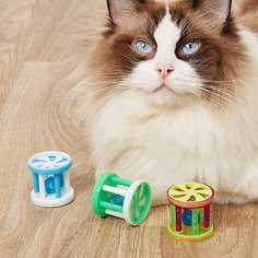 3шт случайная игрушка для кошек Shein