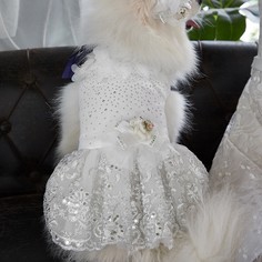 с вышивкой Платья для домашних животных Shein