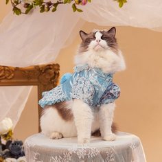 Со цветочками Платья для домашних животных Shein