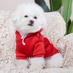 буква Свитшоты и худи для домашних животных Shein