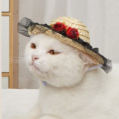 Шляпа Головной убор для домашних животных Shein