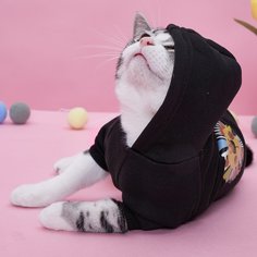 Мультяшный принт Свитшоты и худи для домашних животных Shein