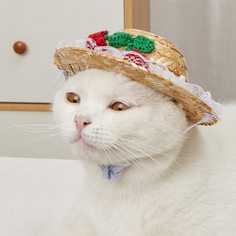 Шляпа Головной убор для домашних животных Shein