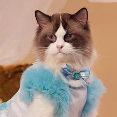 Бант для домашних животных со стразами Shein