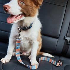 Автомобильный ремень безопасности для домашних животных с геометрическим узором Shein