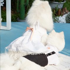 Одноцветный Платья для домашних животных Shein