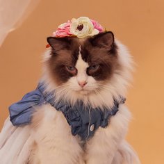 Повязка на голову Головной убор для домашних животных Shein